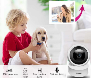 Smart Indoor & Outdoor Cameras