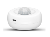 Motion Sensor1
